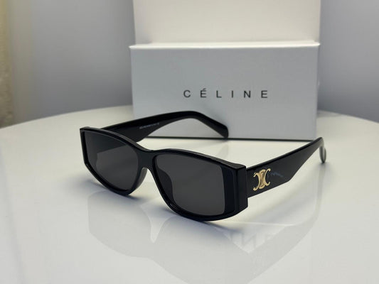 Celine Triomphe 01 Sunglasses in Acetate